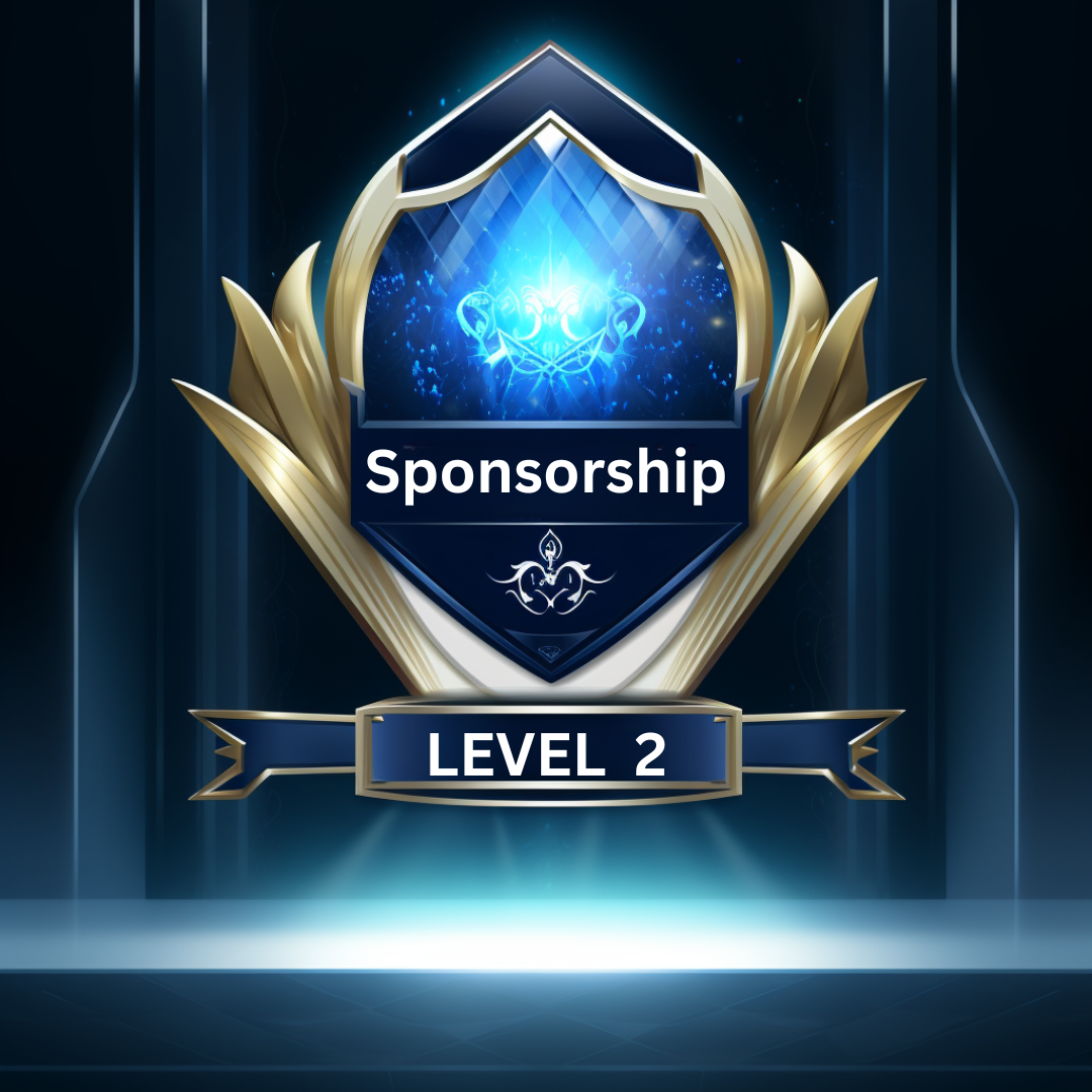 Influencer Sponsorship: Level 2